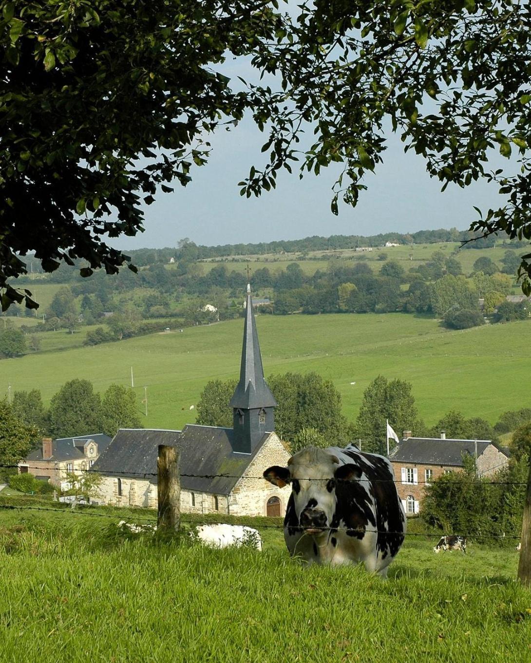 Gite "Le Refuge" Dans Un Domaine De 7Ha Au Calme Vimoutiers Kültér fotó